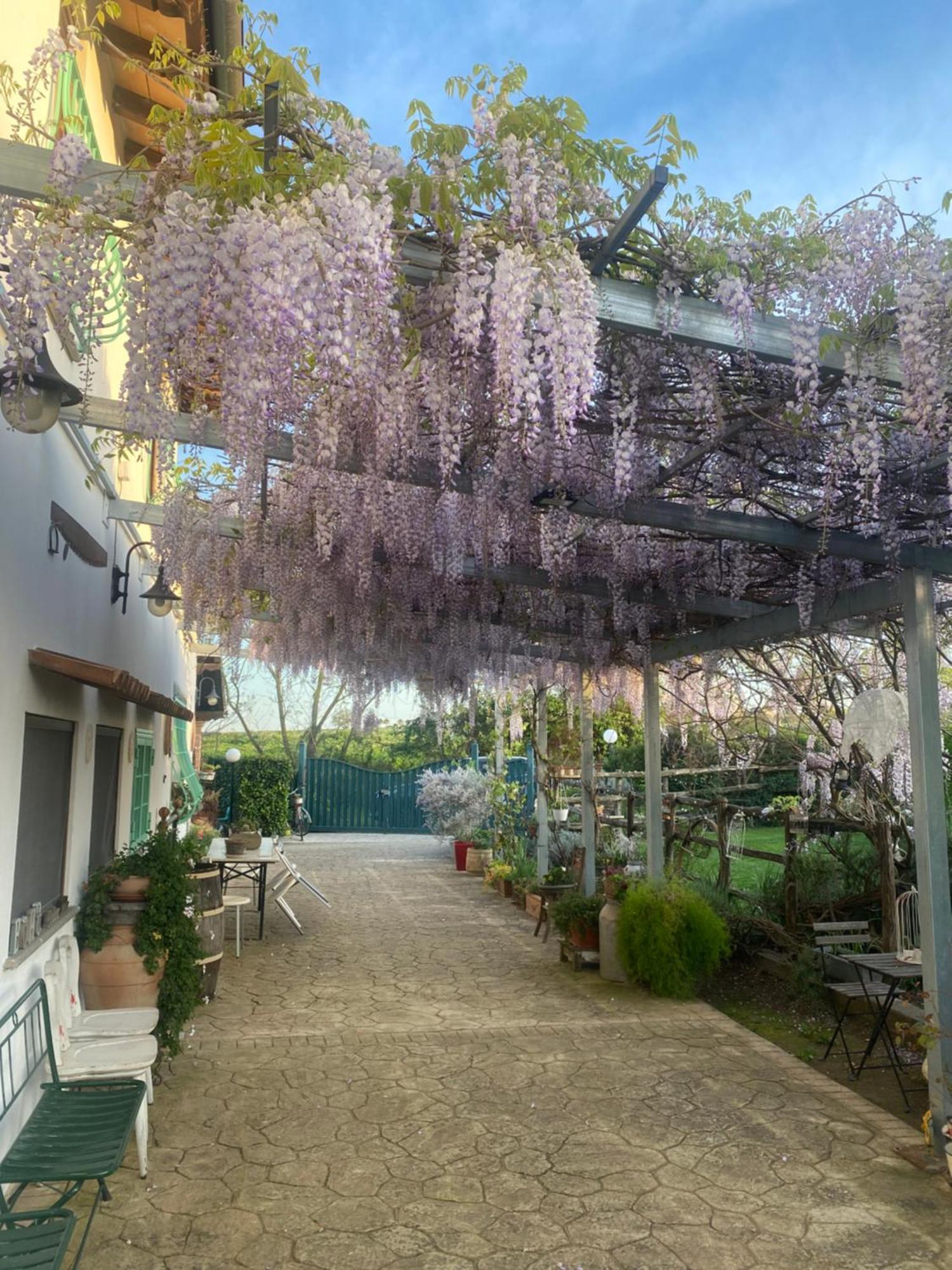 La Locanda Del Tevere フィアーノ・ロマーノ エクステリア 写真