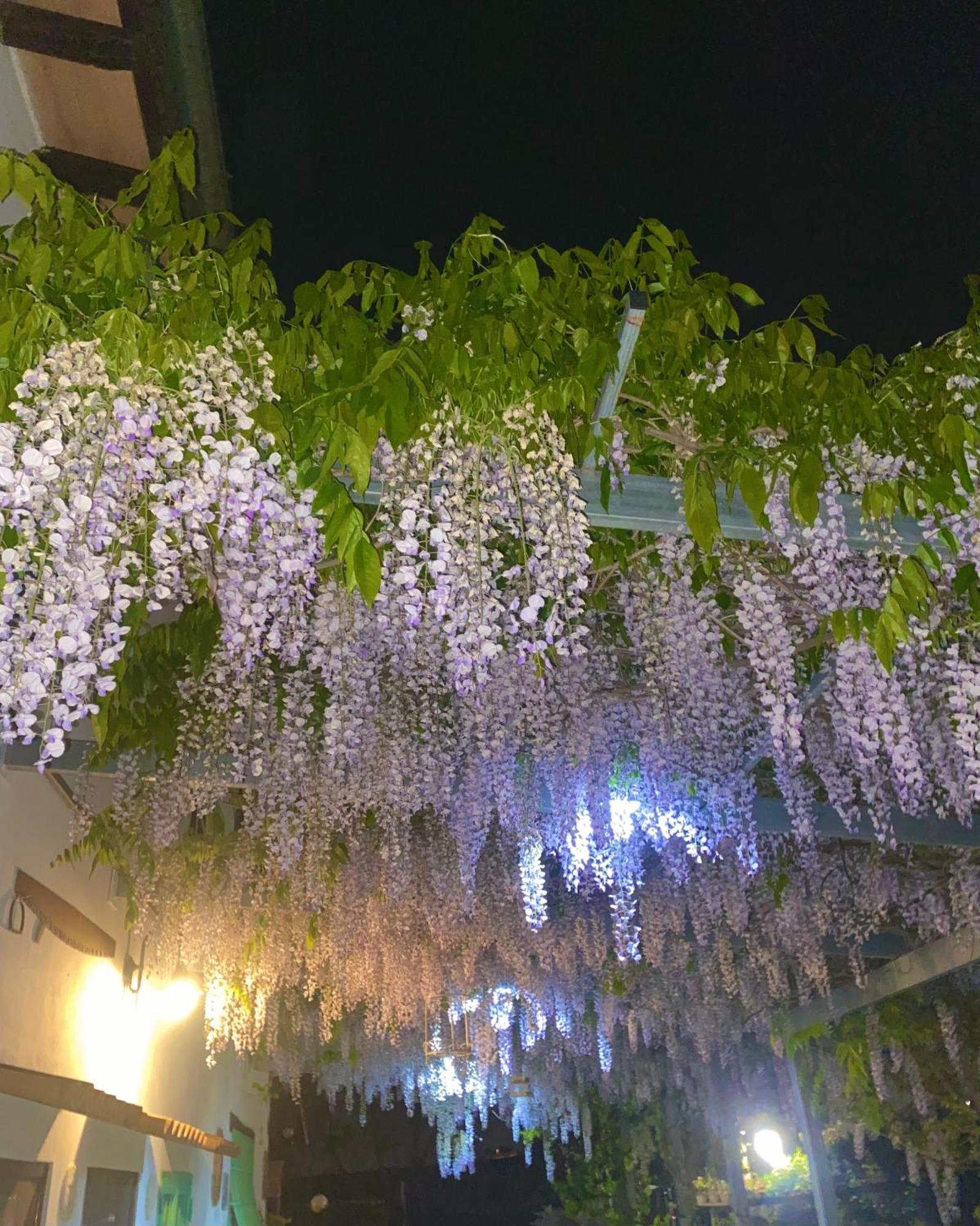 La Locanda Del Tevere フィアーノ・ロマーノ エクステリア 写真